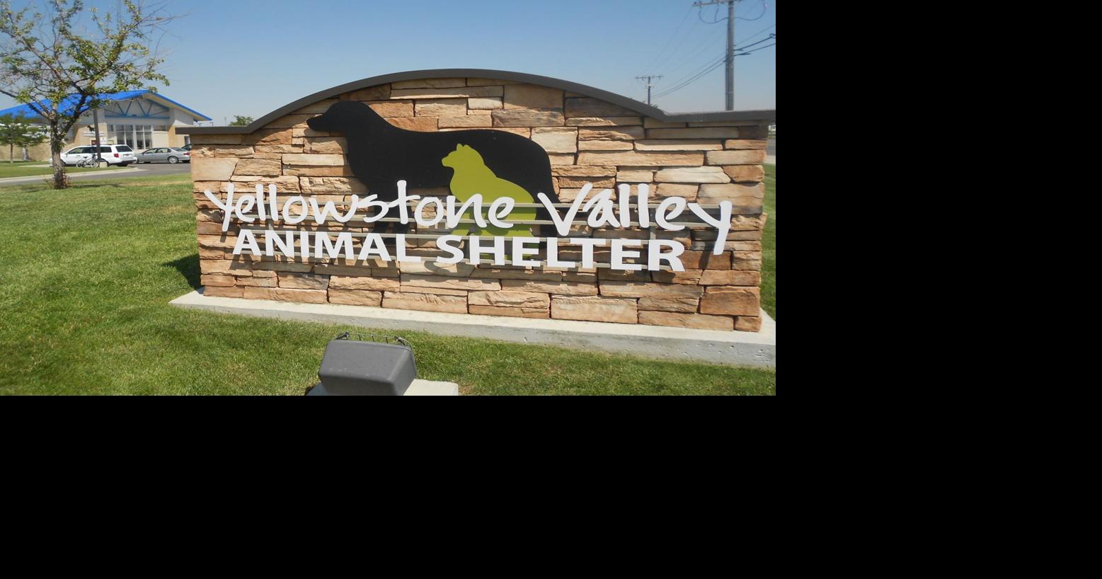 Yellowstone Valley Animal Shelter to expand in Billings