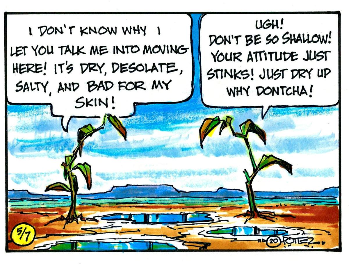 Salty living conditions
