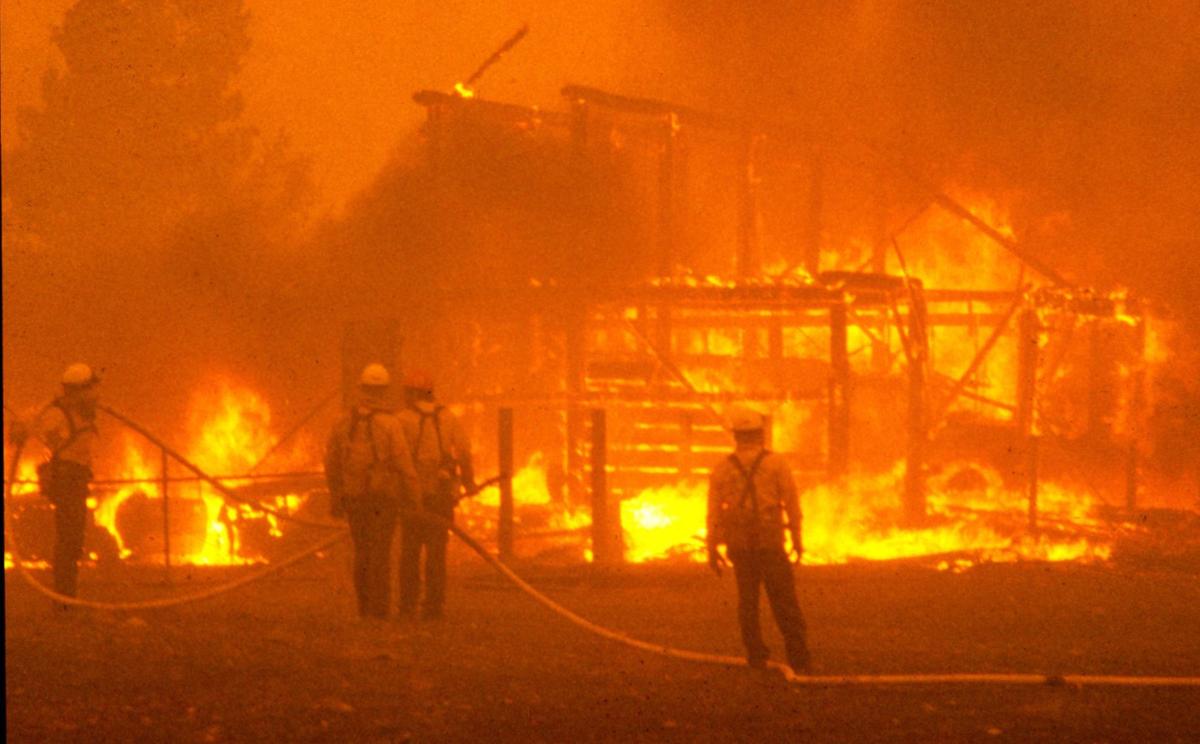 Yellowstone 88 Old Faithful Burns Cooke City Backfire Backfires State Regional Billingsgazette Com