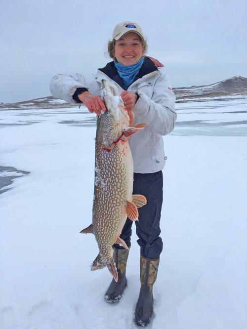 Montana Fishing Report Stillwater River Still Offering Fishermen