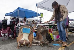 Market Mania at MetraPark