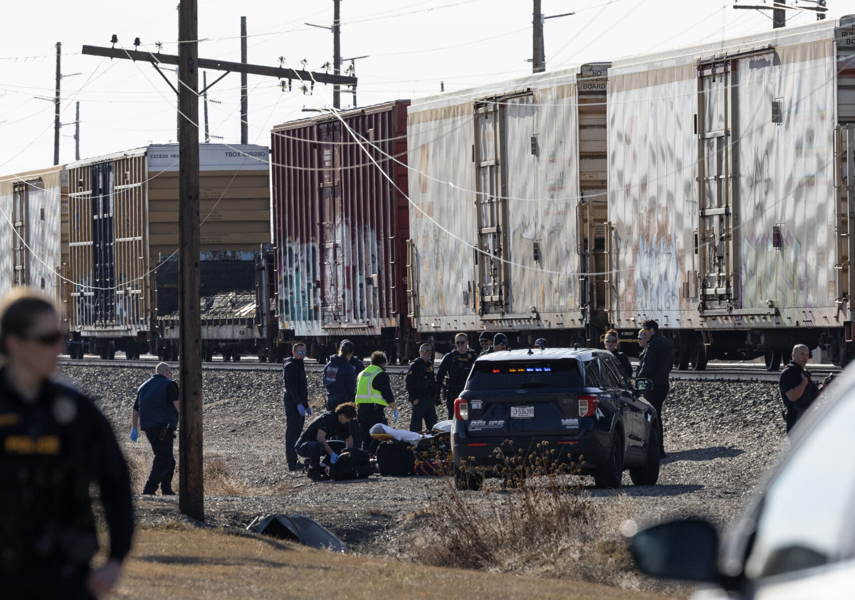 Pedestrian hit by train near Laurel Road