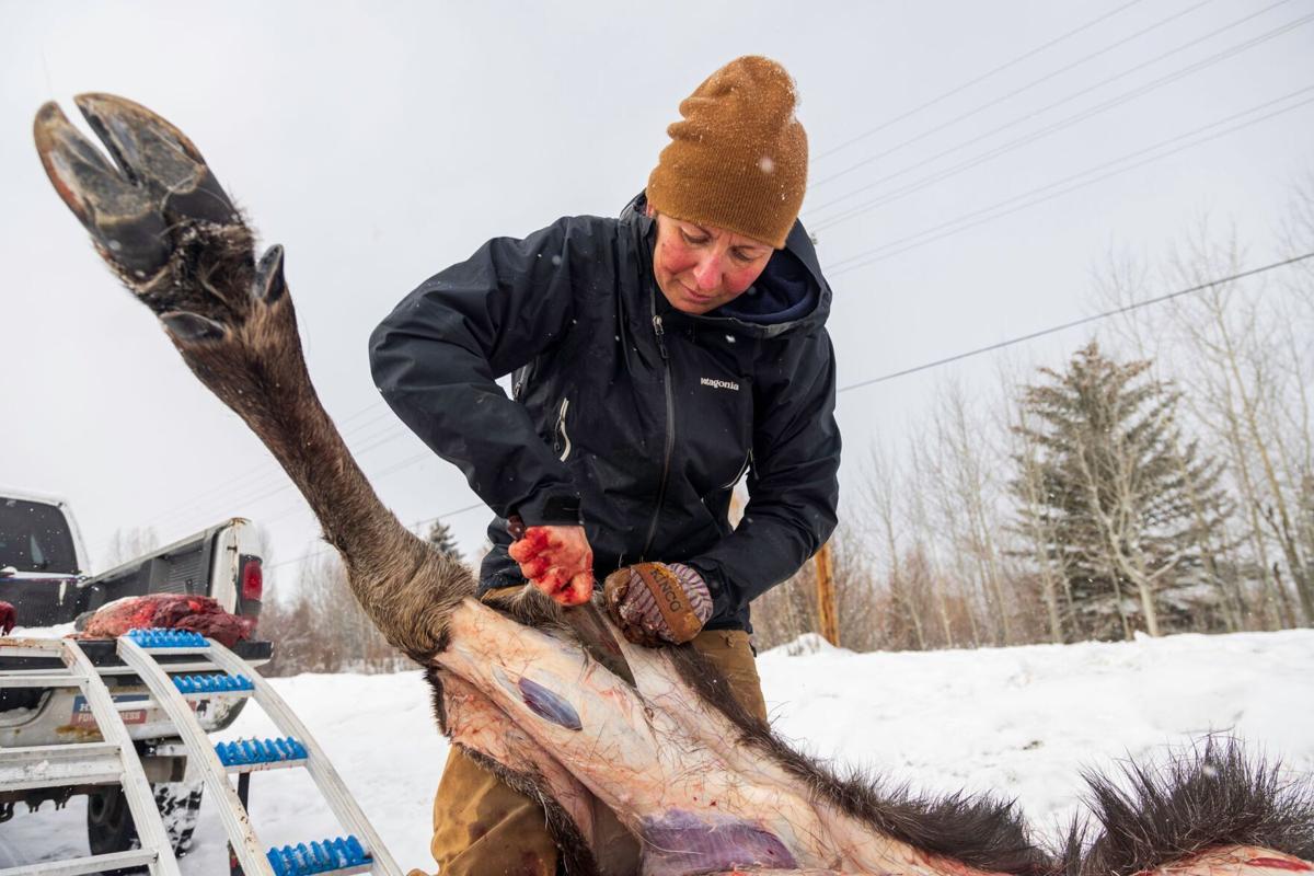 Moose Footprints in Snow: Unveiling the Untamed Wilderness