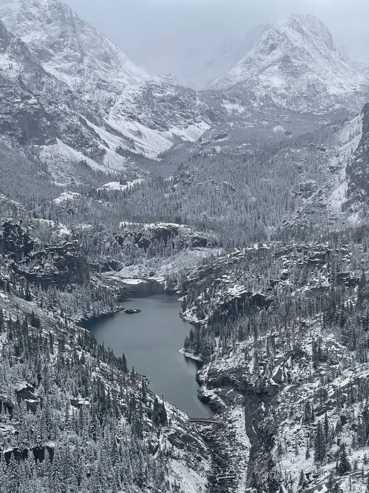 Beartooth Ranger District installs bridge above East Rosebud