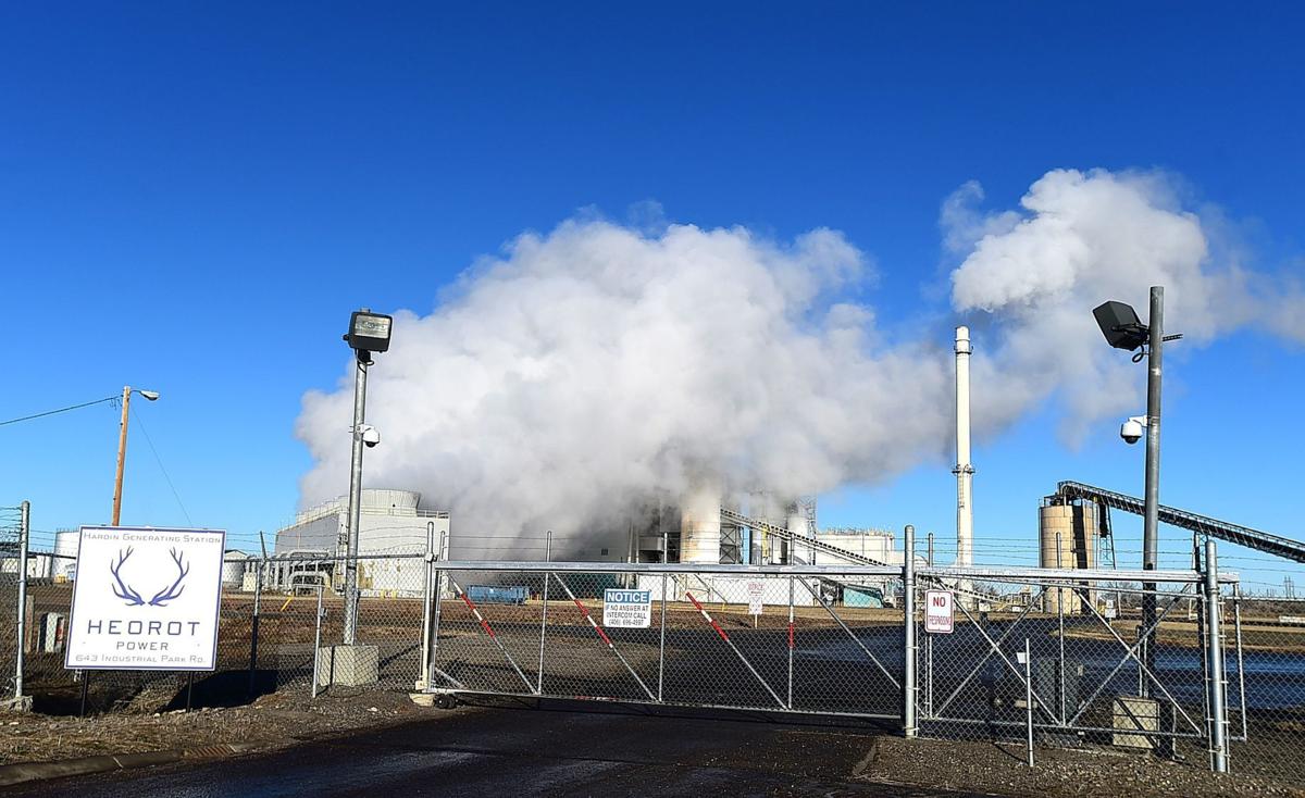 Hardin power station