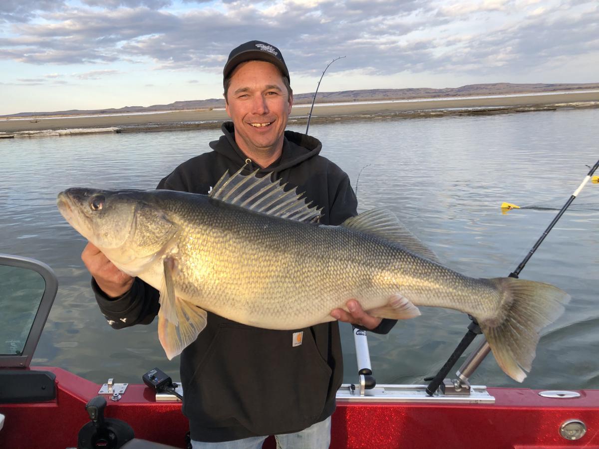 Walleye record