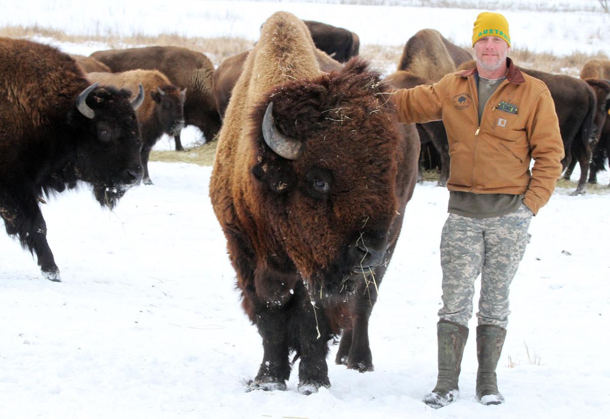 Where the bison roam Bitterroot Bison sees growing demand Montana News