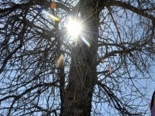 Joe Medicine Crow Dies In Billings On Sunday Morning Local
