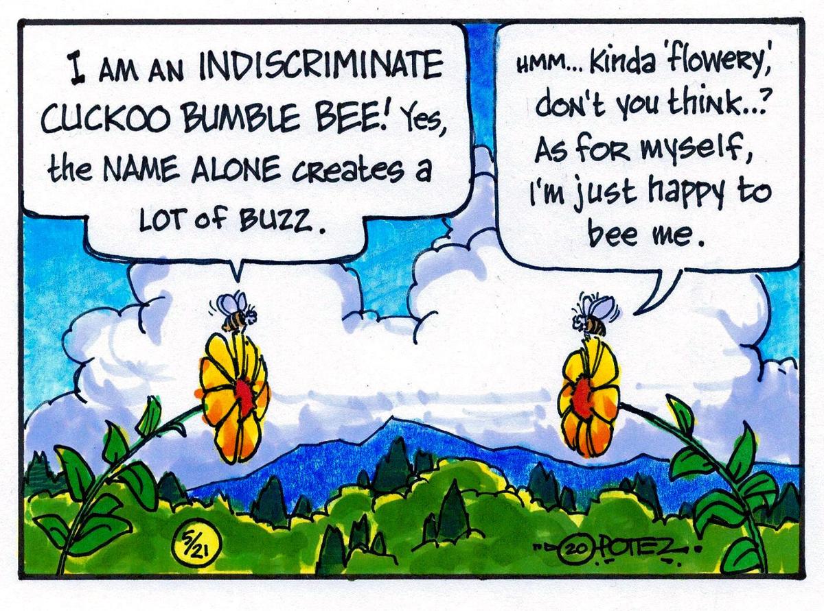 Bee humor