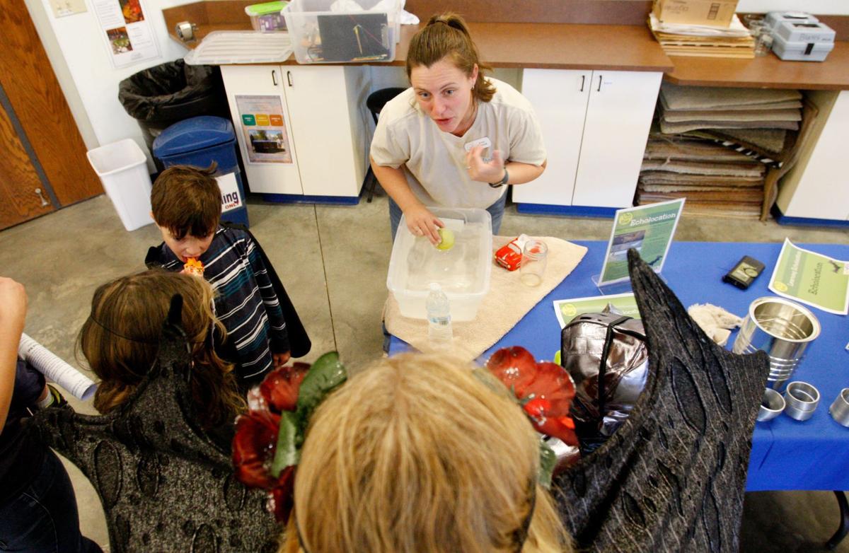 bats bat spooky hardly humans billingsgazette beneficial chilcoat echolocation audubon teaches montana emily saturday event during center