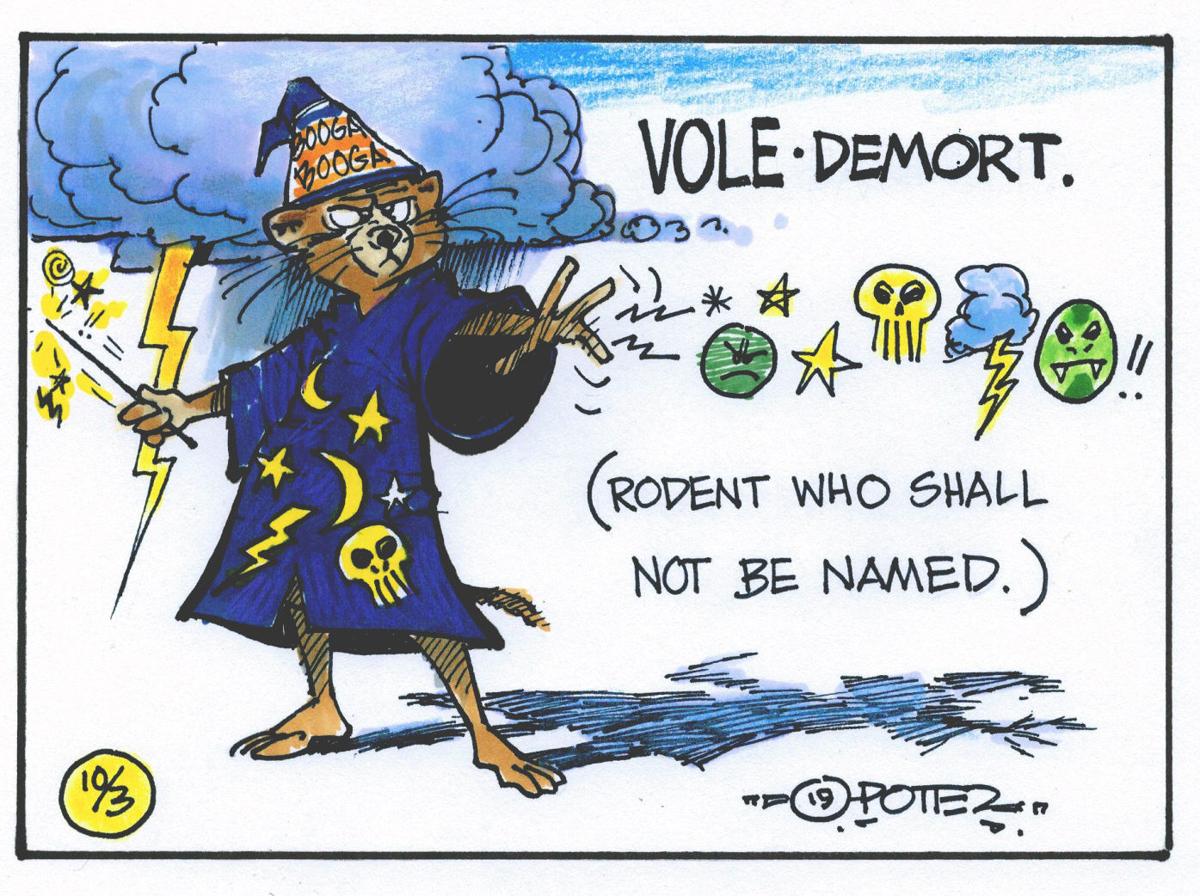 Vole Demort