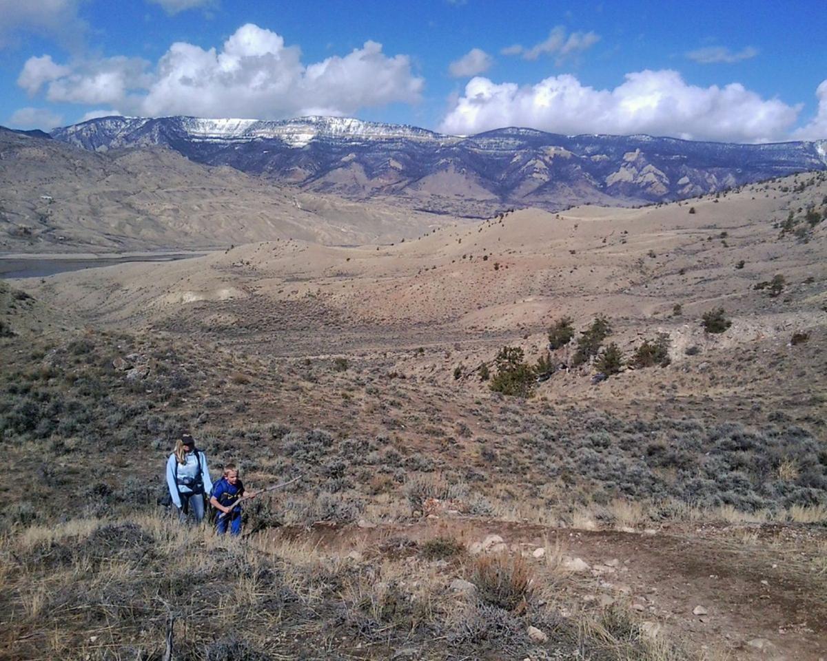Hike to Sheep Mountain near Cody offered on June 3 Outdoors