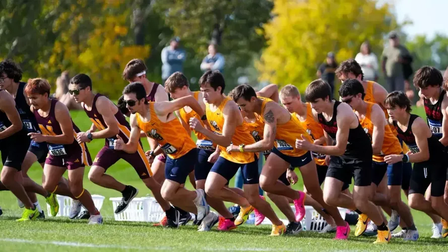Milek, Strong Pace Yellowjackets once more at Tyson Invite