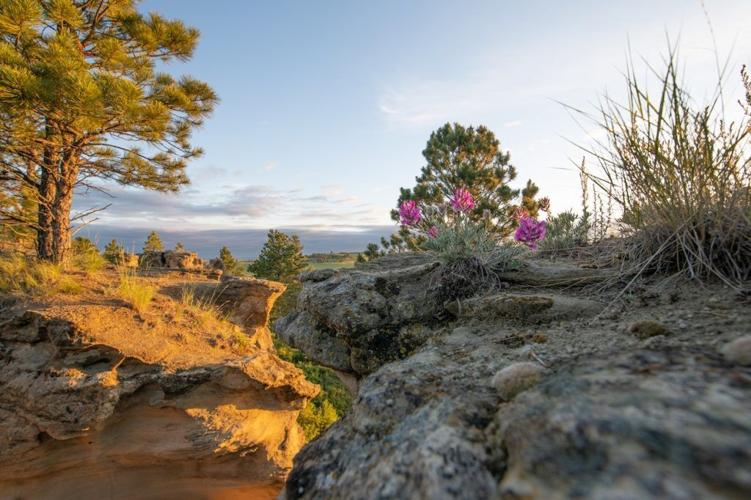 Celebrate Earth Day in Southeast Montana