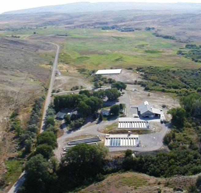 Bluewater Fish Hatchery