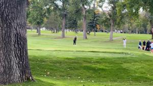 Day 2 highlights Class AA state golf