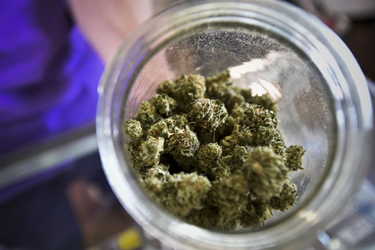 Medical marijuana buds