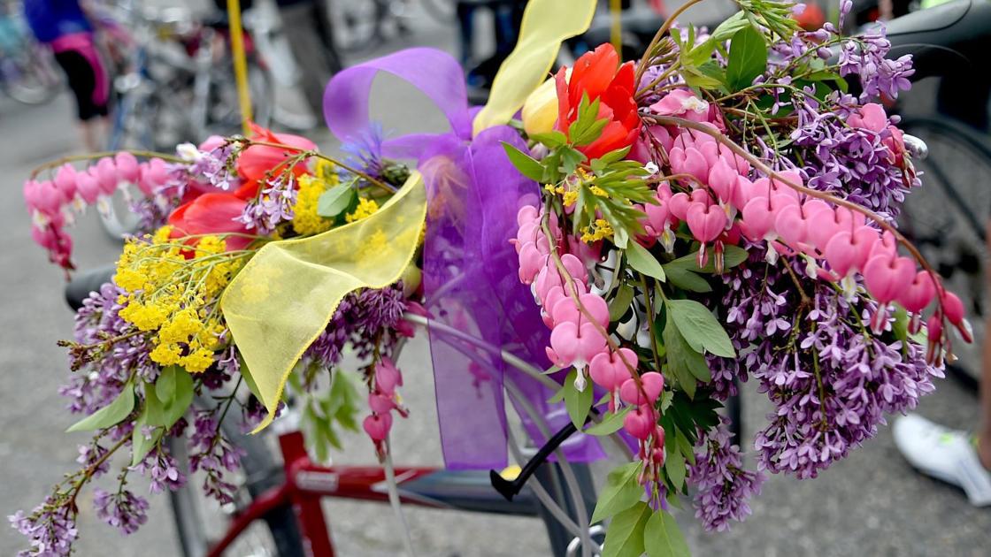 Virtual Tour de Fleur plans announced Local News