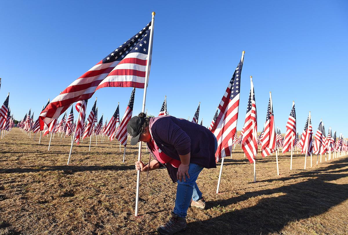 Field of Flags