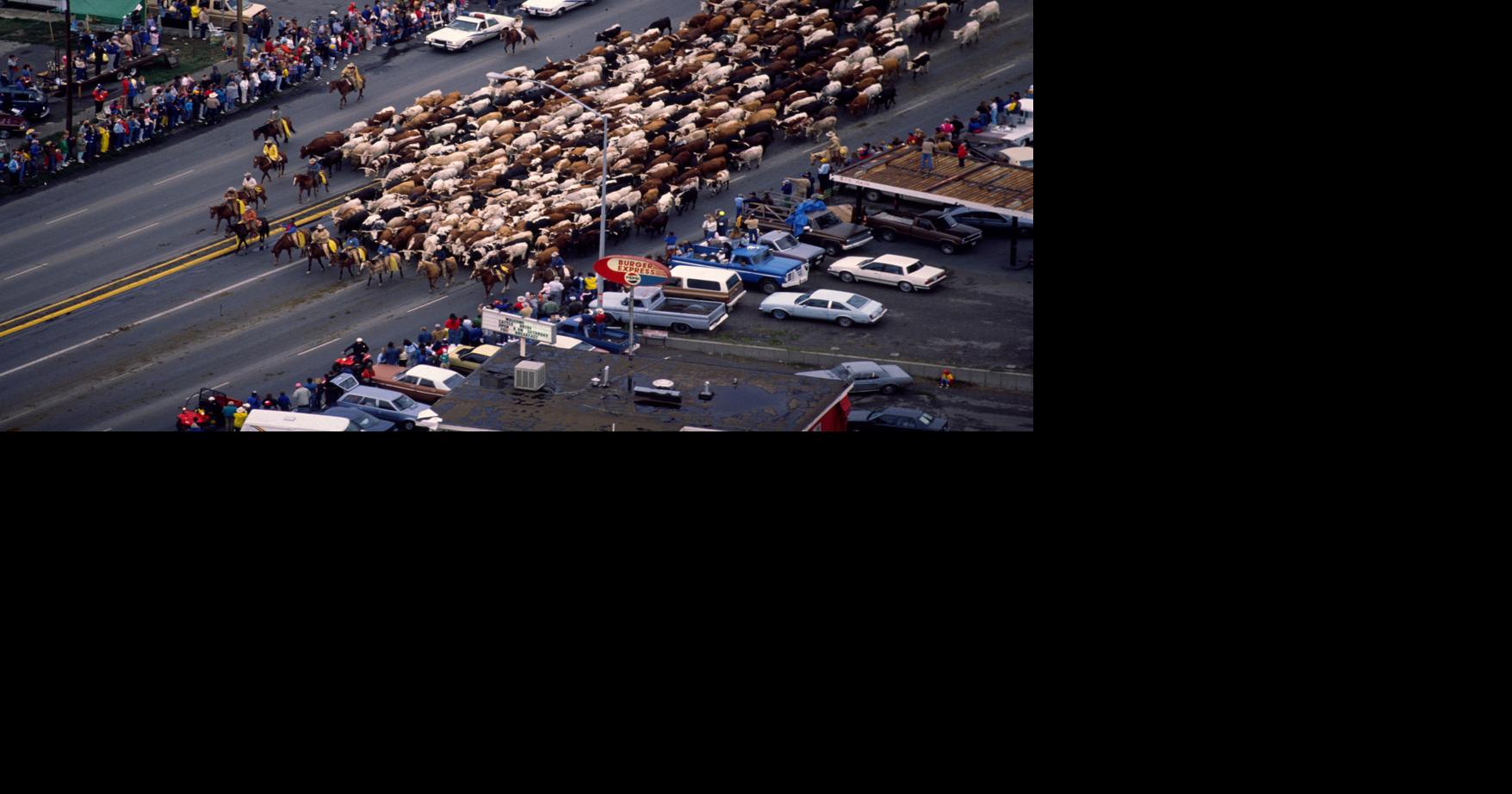 30 years ago the Montana Centennial Cattle Drive put ranching in the ...
