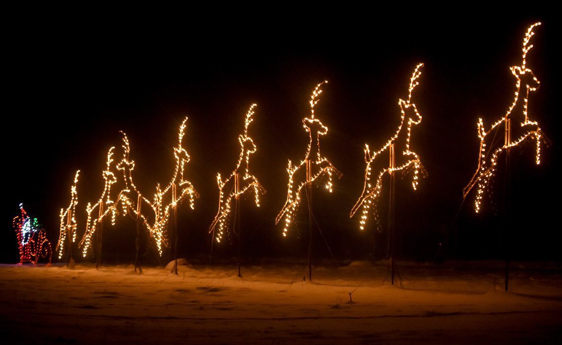 Photos Zoo Lights at ZooMontana Local News