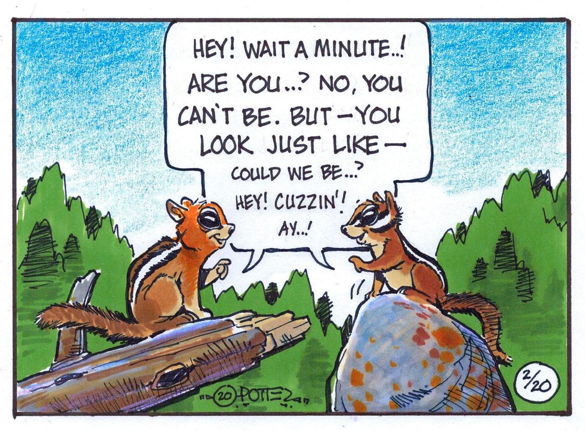 Rodent cousins