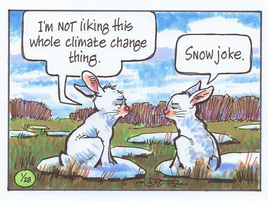 Outdoors just for kids Climate change troubling for snowshoe hares