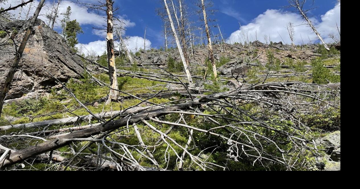 Yellowstone supereruption more complex than thought