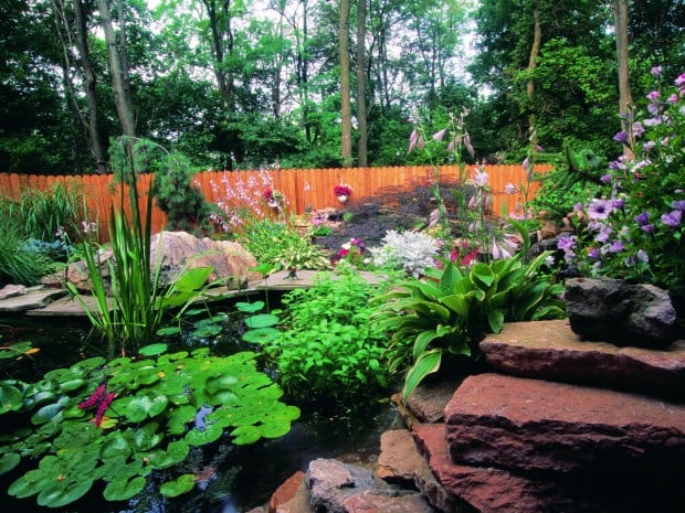 How To Create An Ecosystem For You And Your Garden Home Garden Billingsgazette Com