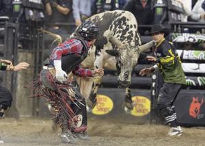 PBR Billings