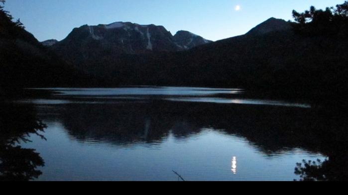 Beartooth Bats Outdoors Billingsgazette Com
