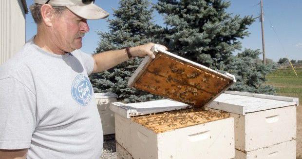 EPA concludes insecticide is harmful to honeybees