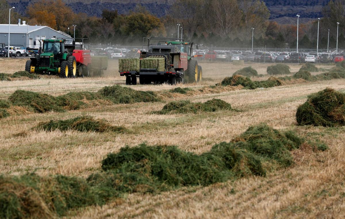 Hay bales