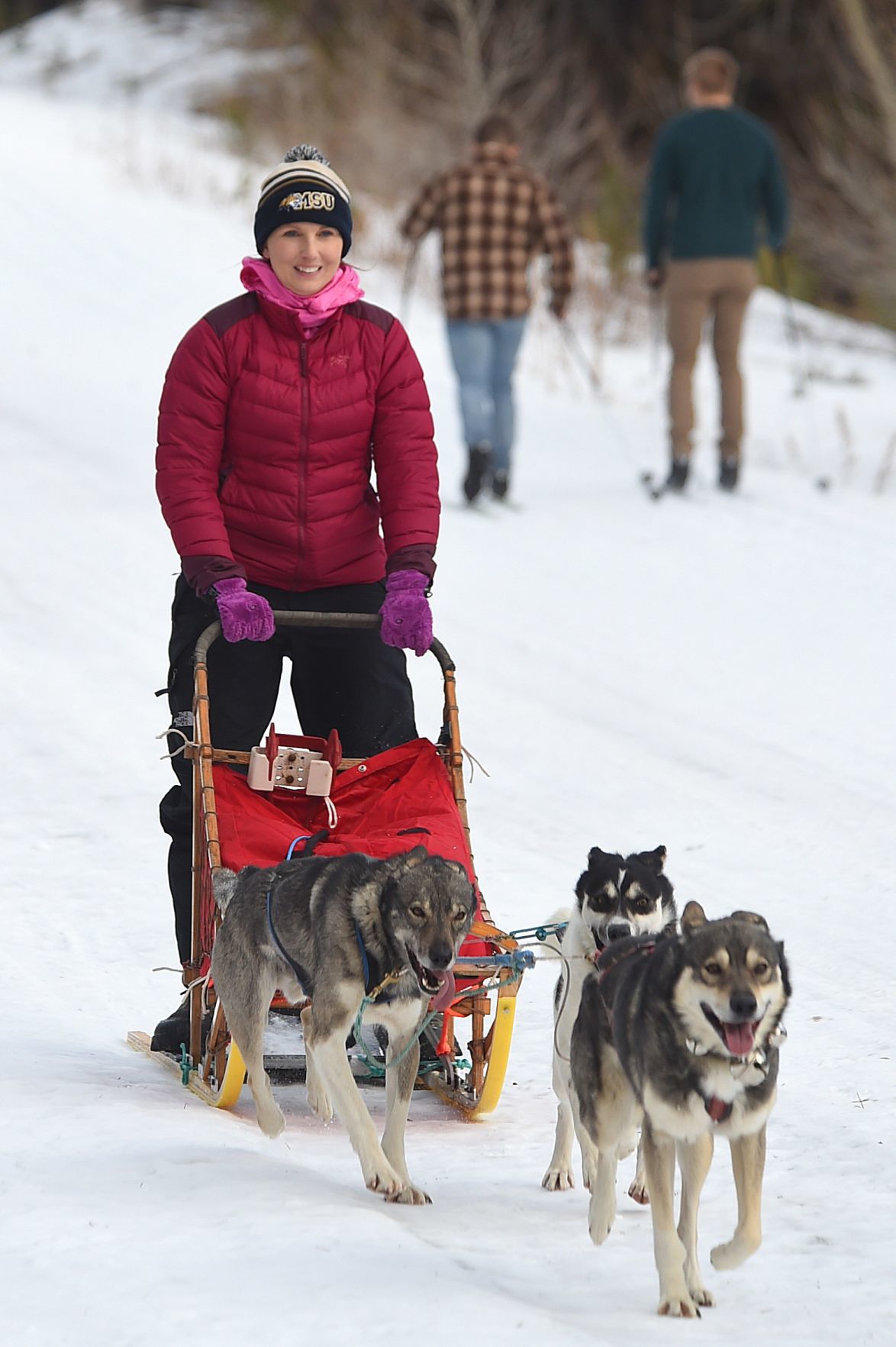 Sled dog racing provides peace amid the chaos of everyday life for amateur  Billings musher