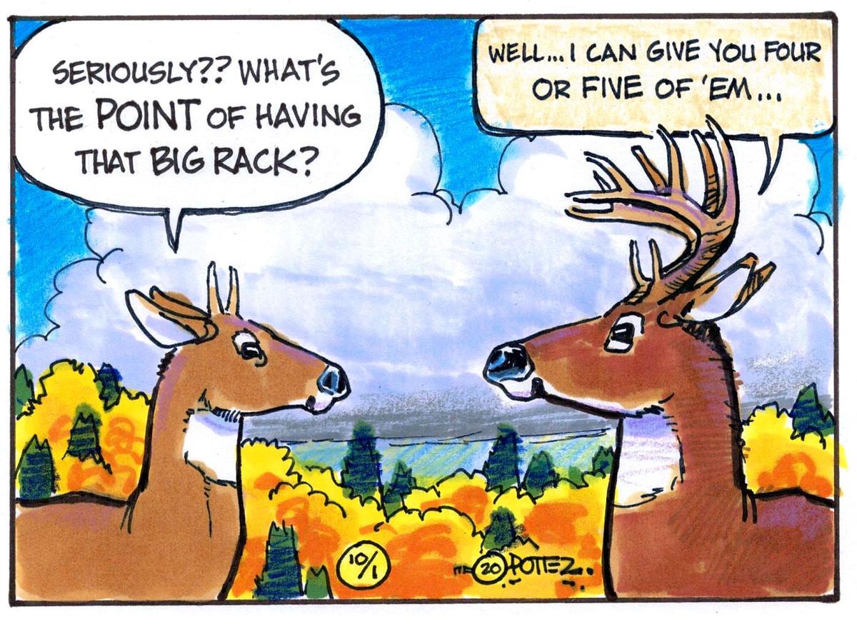 To the point of antlers