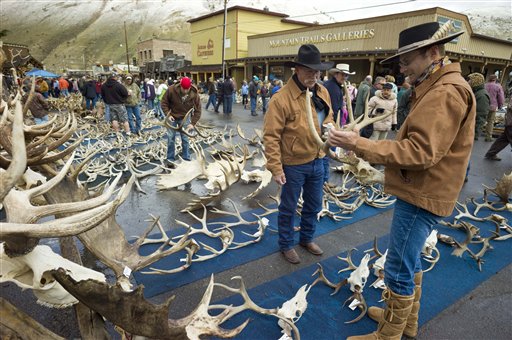10 shed antler christmas trees to get you in the festive