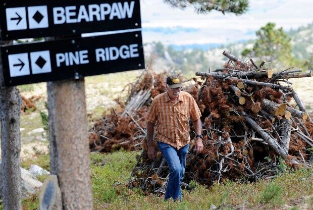 Jeff Schmidt walks past rows of slash piles
