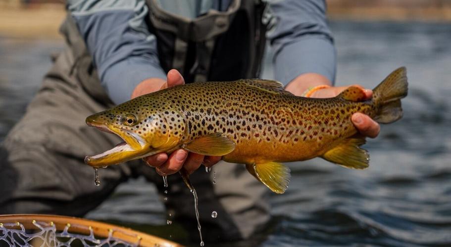 Summer Fishing Adventures in Southeast Montana