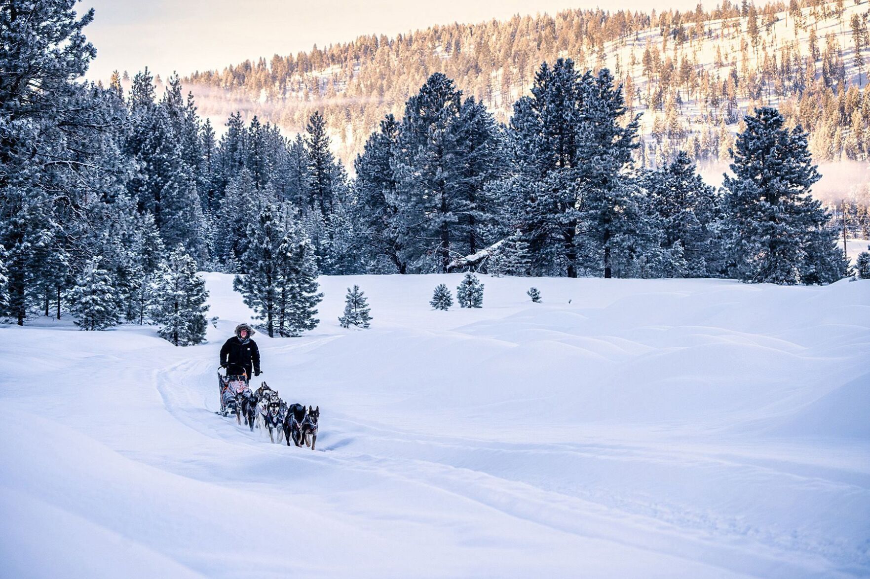 Idaho Sled Dog Challenge Races Mostly Cancelled