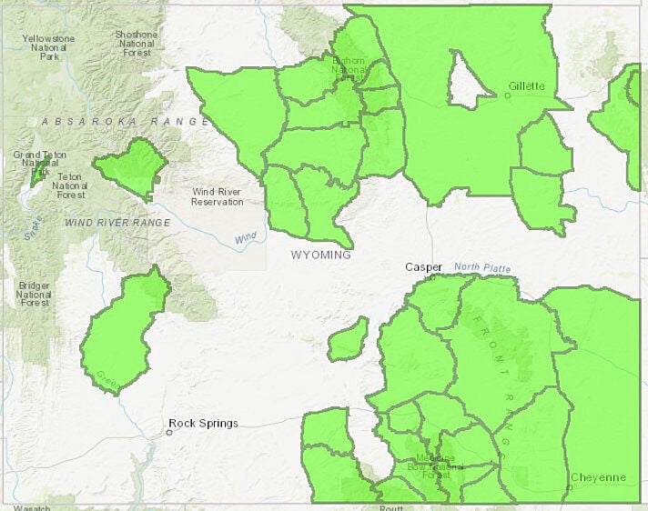 2 bull elk shot in north-central Wyoming test positive for chronic ...