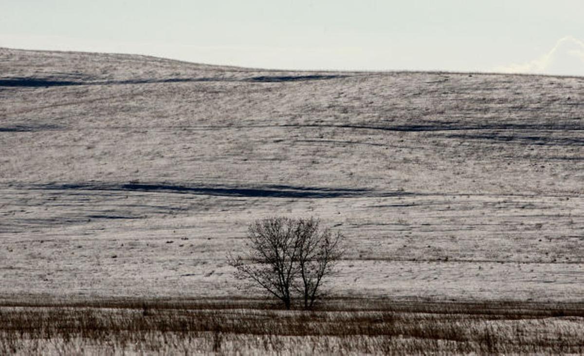 Ramaco's plan for new Wyoming coal mine hits legal roadblock Wyoming