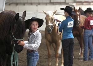Big Sky State Games Horse Show