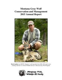 Study suggests wolf harvest reduces park sightings | Outdoors