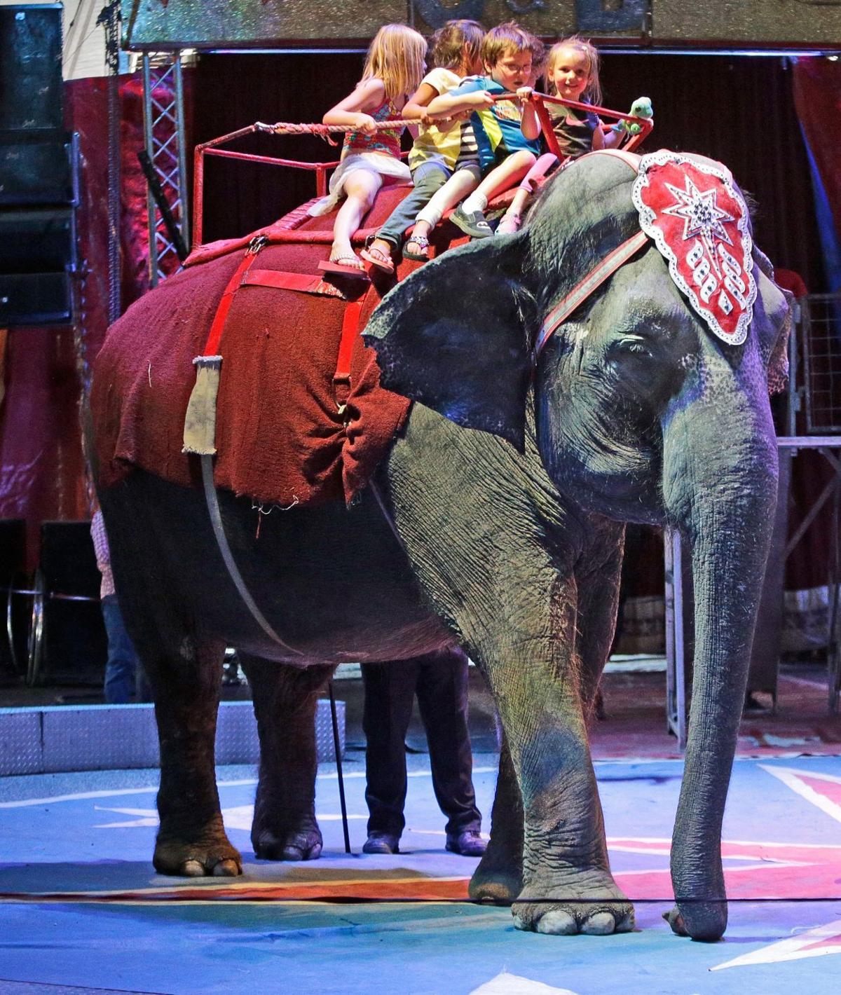 Circus Offers Elephants Snacks And Entertainment Amid June Heat Local News Billingsgazette Com Circus Offers Elephants Snacks And Entertainment Amid June Heat Local News Billingsgazette Com