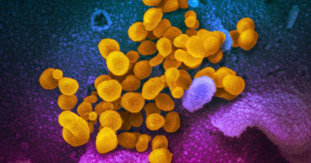 9 more Yellowstone County residents die of COVID-19 over holiday weekend