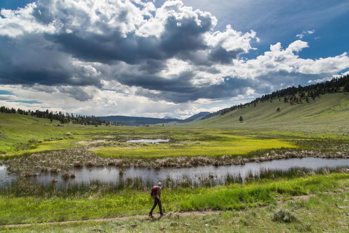 Hiking on the Blacktail Deer Plateau