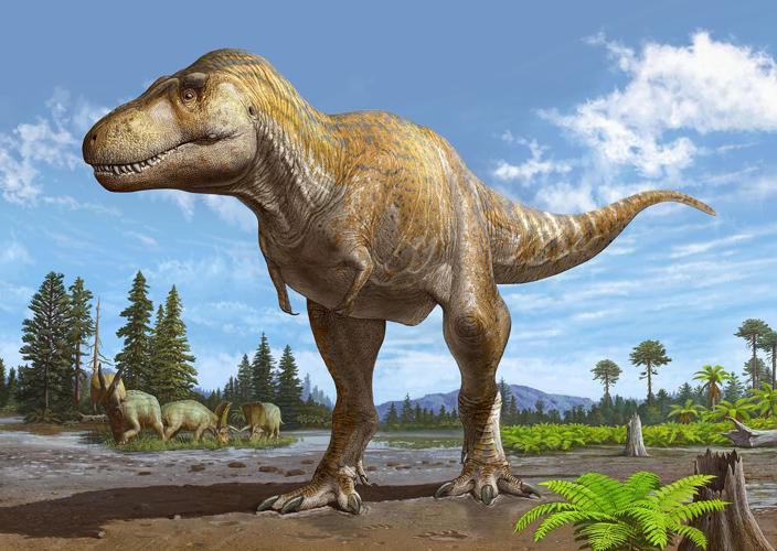 T. rex's older, equally hulking relative found in New Mexico