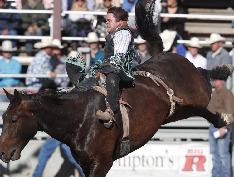 Photos Riders compete in the Home of the Champions Rodeo in Red Lodge