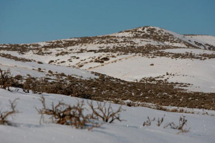 Ramaco's plan for new Wyoming coal mine hits legal roadblock