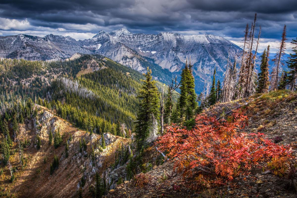 Swan Mountain